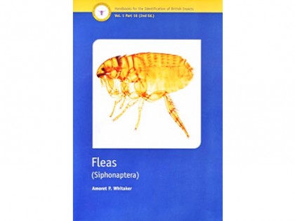 Fleas – Siphonaptera 1