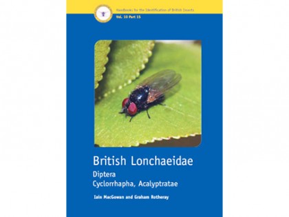 British Lonchaeidae 1