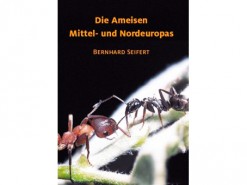 Die Ameisen Mittel-und Nordeuropas