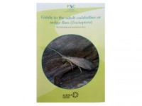 Guide to the adult caddisflies (Trichoptera)
