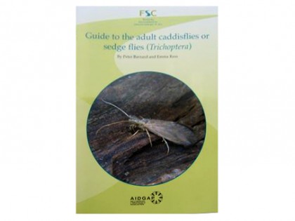 Guide to the adult caddisflies (Trichoptera) 1