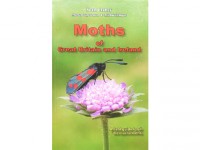 Moths of GB and Ireland