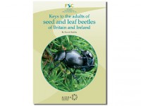 Seed and leaf beetles