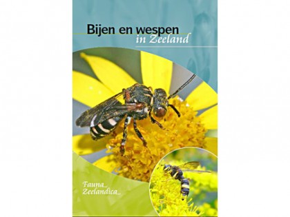 Bijen en wespen in Zeeland 1