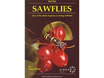 Sawflies – a key to the adults 1
