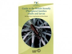 Guide to the British Stonefly (Plecoptera)families