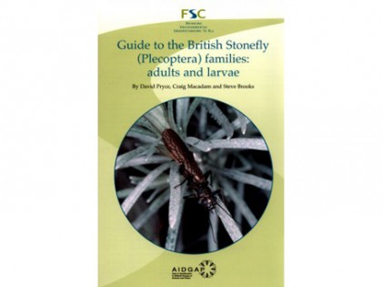 Guide to the British Stonefly (Plecoptera)families 1