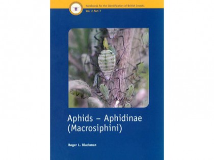 Aphids – Aphidinae (Macrosiphini) 1