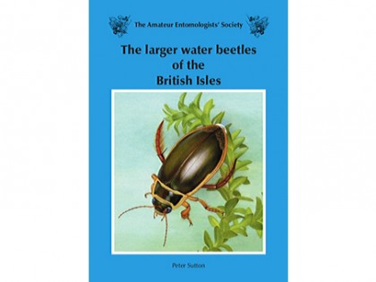 The larger water beetles 1