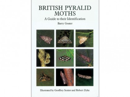 British Pyralid Moths 1