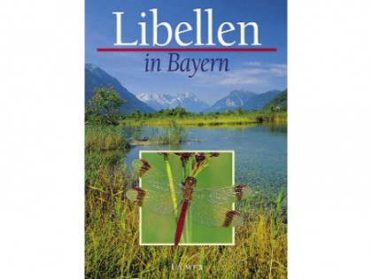 Libellen in Bayern 1