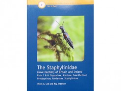 The Staphylinidae (rove beetles) part 2