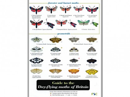 Guide to the Day-flying moths 1