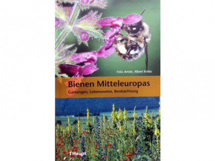 Bienen Mitteleuropas 1