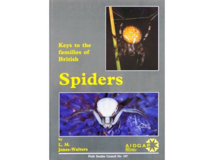 Keys to the families of British Spiders 1
