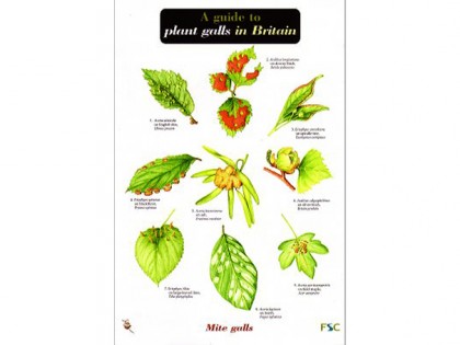 A guide to plant galls 1