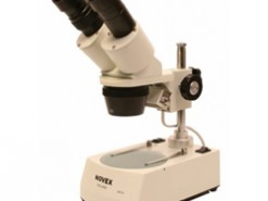 Novex stereomicroscopen