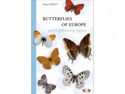 9.502 Butterflies of Europe  NAP