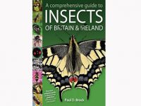 7.905 a-comprehensive-guide-to-insects