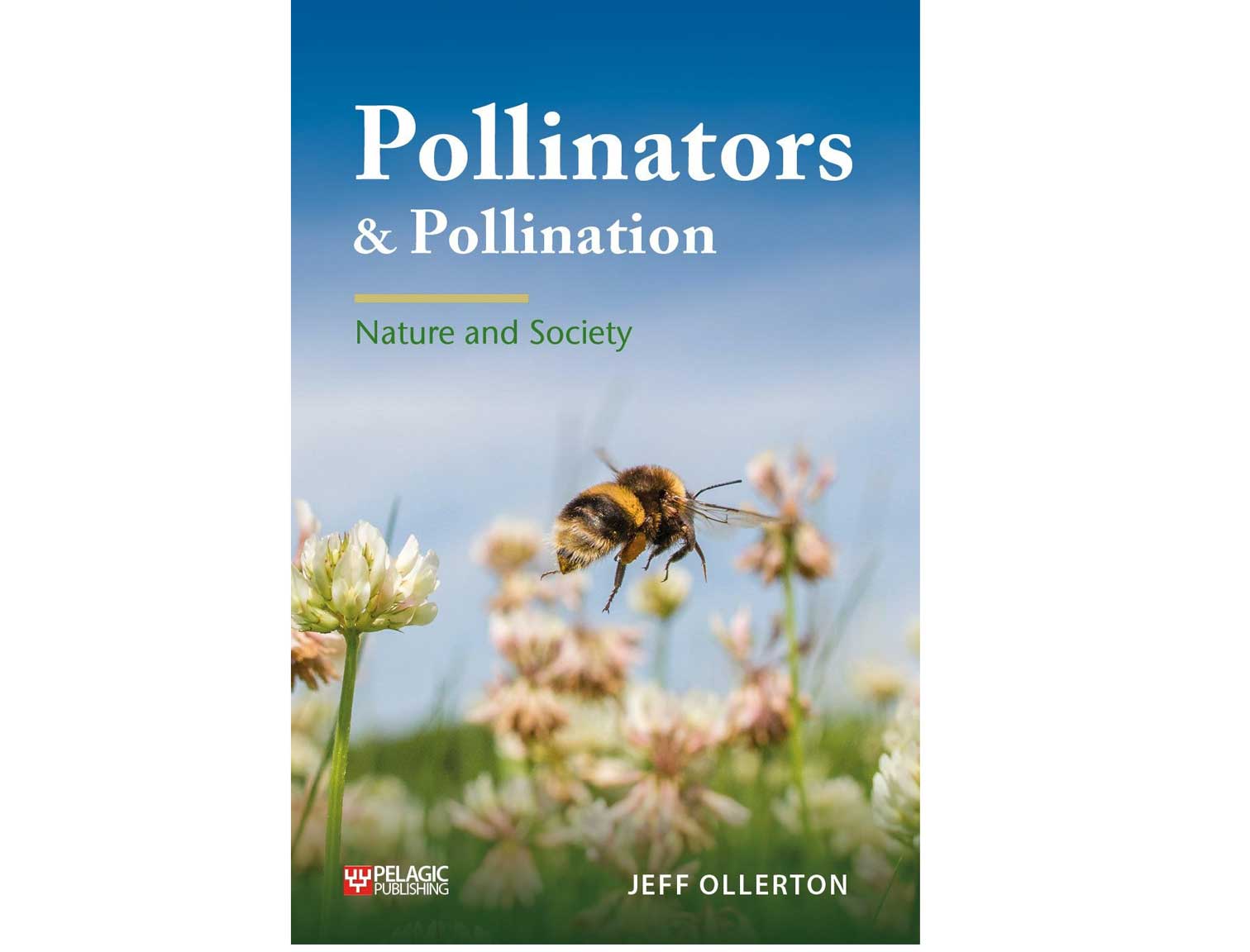 pollinators-pollination-pelagic