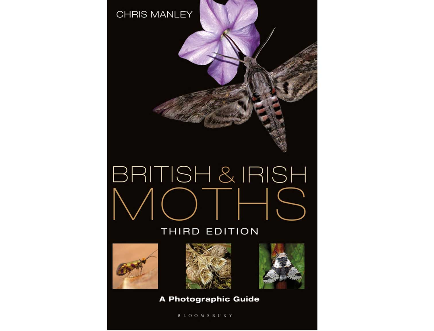 british-moths-3e