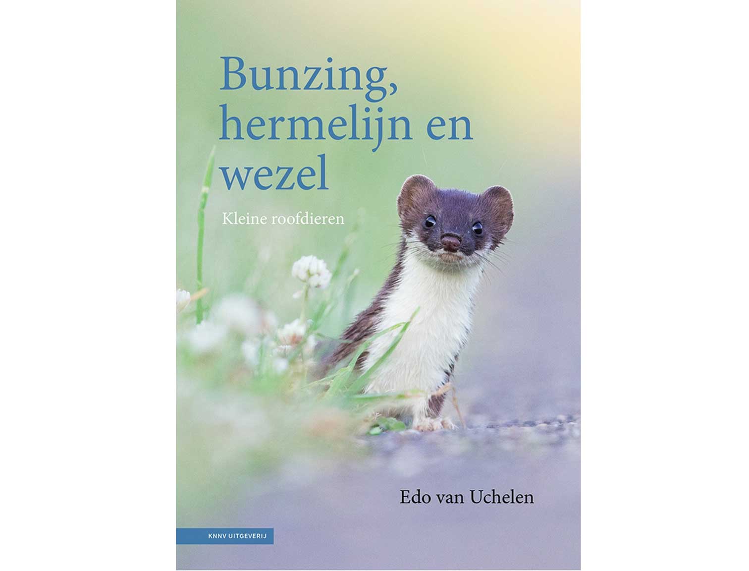 bunzing,_hermelijn_en_wezel(1)