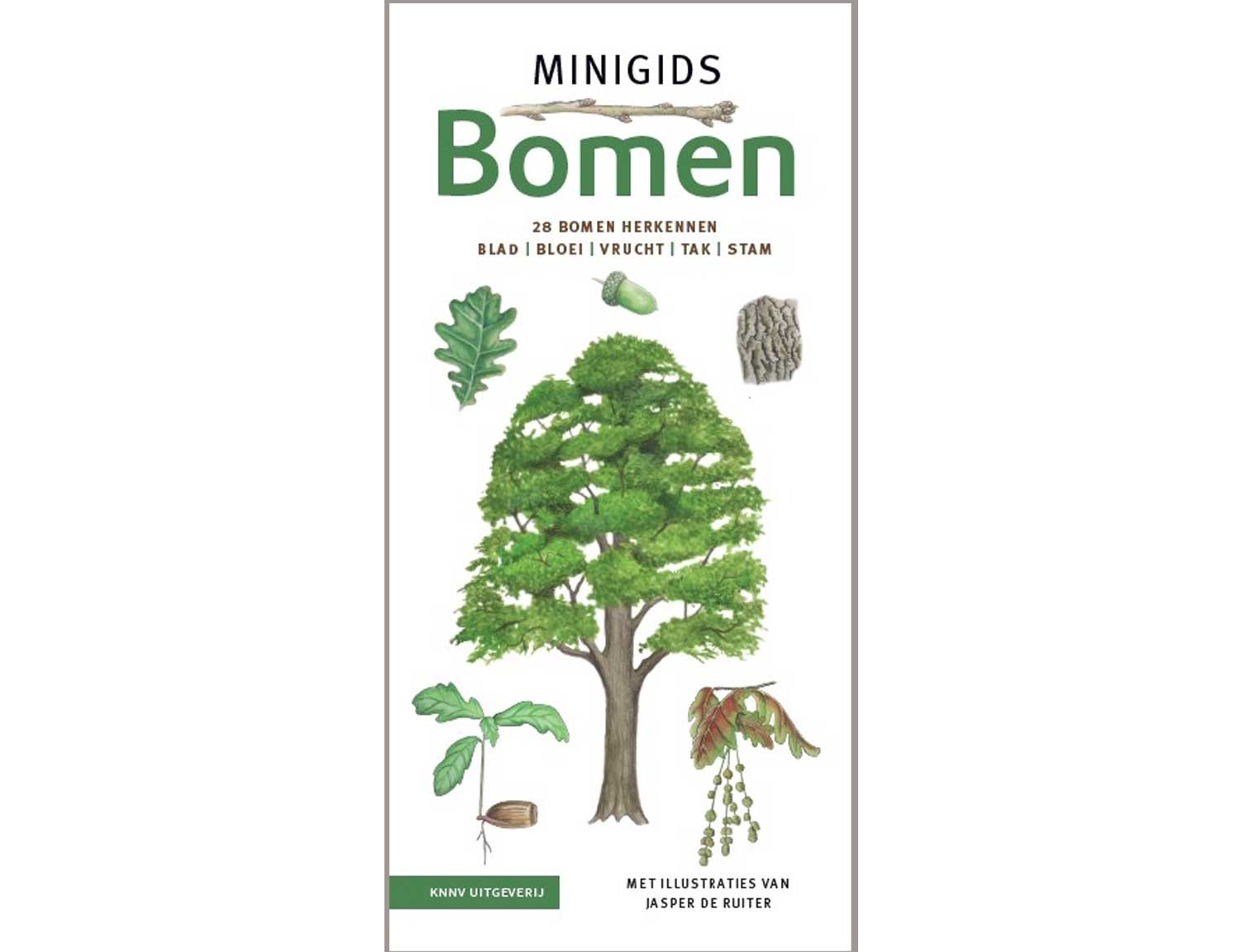 minigids_bomen