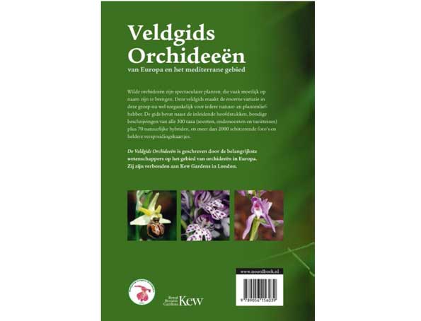 veldgids-orchideen2