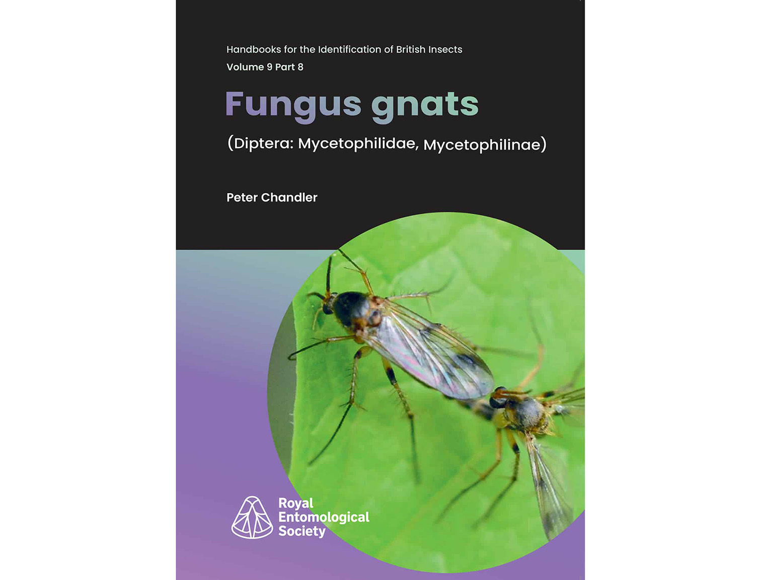 Fungus-gnats