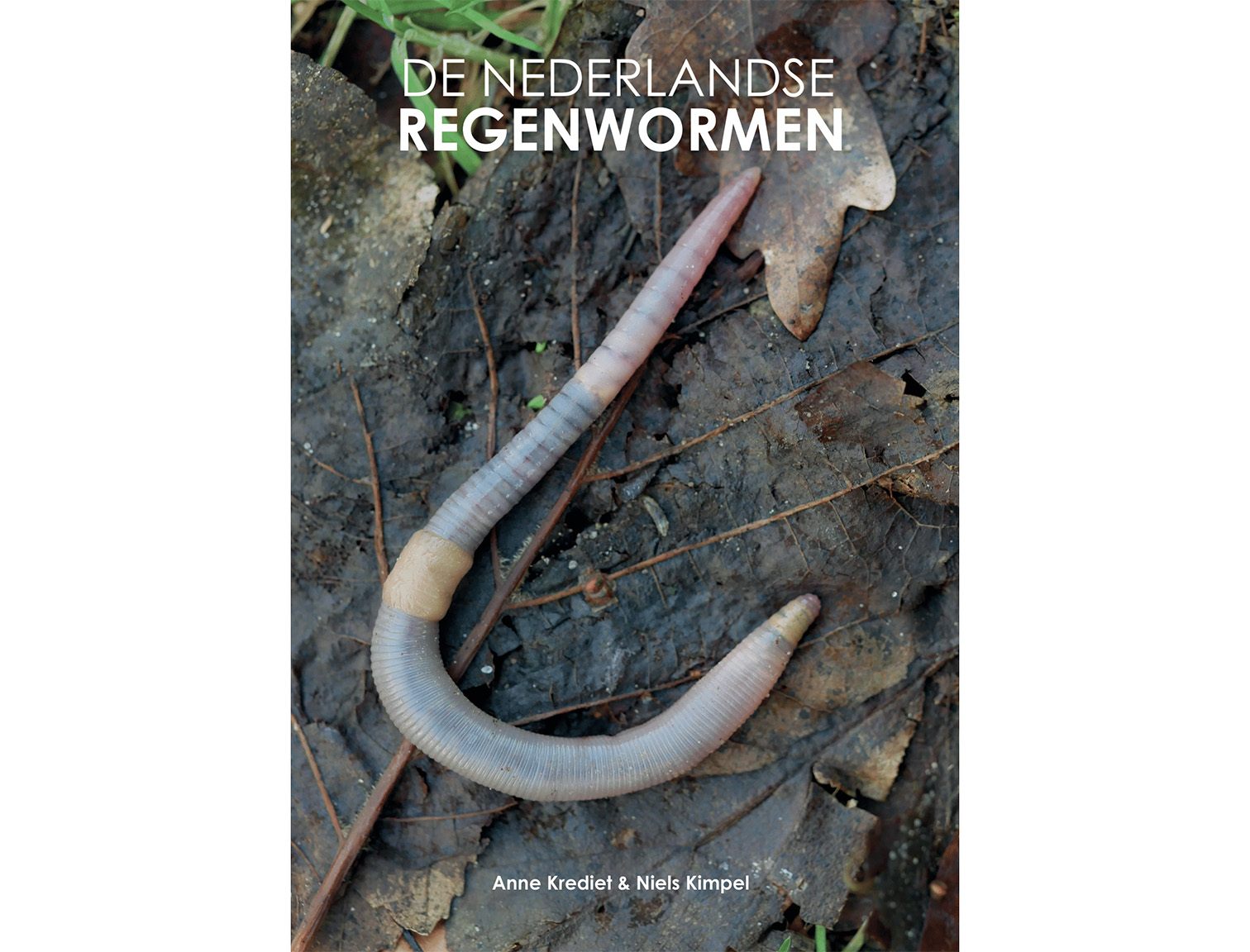 De-NL-Regenwormen-2-cover-HK-afloop-1