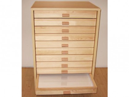 Kabinet met 10 insectendozen 40x50cm