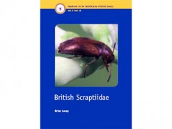 British Scaptiidae