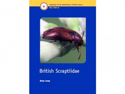 British Scaptiidae 1