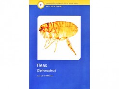 Fleas - Siphonaptera