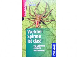 132 Spinnen einfach bestimmen