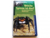 Welche Spinne ist das ?