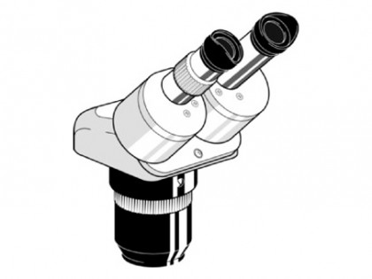 Binoculaire Zoom Stereokop:vergr