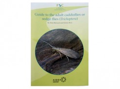 Guide to the adult caddisflies (Trichoptera)