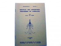 Genitalia van Lepidoptera prepareren