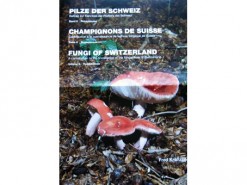 Fungi of Switzerland