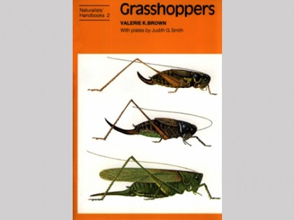 Grasshoppers 1