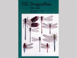 Dragonflies