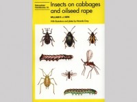Insects on cabbages and oilseed rape