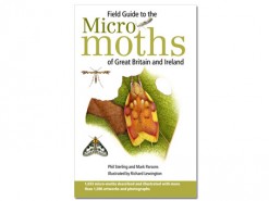 Field Guide to the micro moths