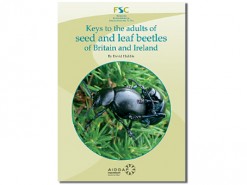 Seed and leaf beetles