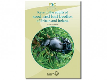 Seed and leaf beetles 1