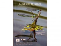 Libellules de France