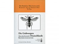 Die Grabwespen: Bestimmungsschlussel