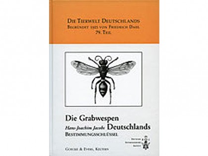 Die Grabwespen: Bestimmungsschlussel 1