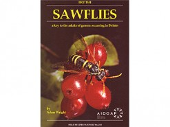 Sawflies - a key to the adults